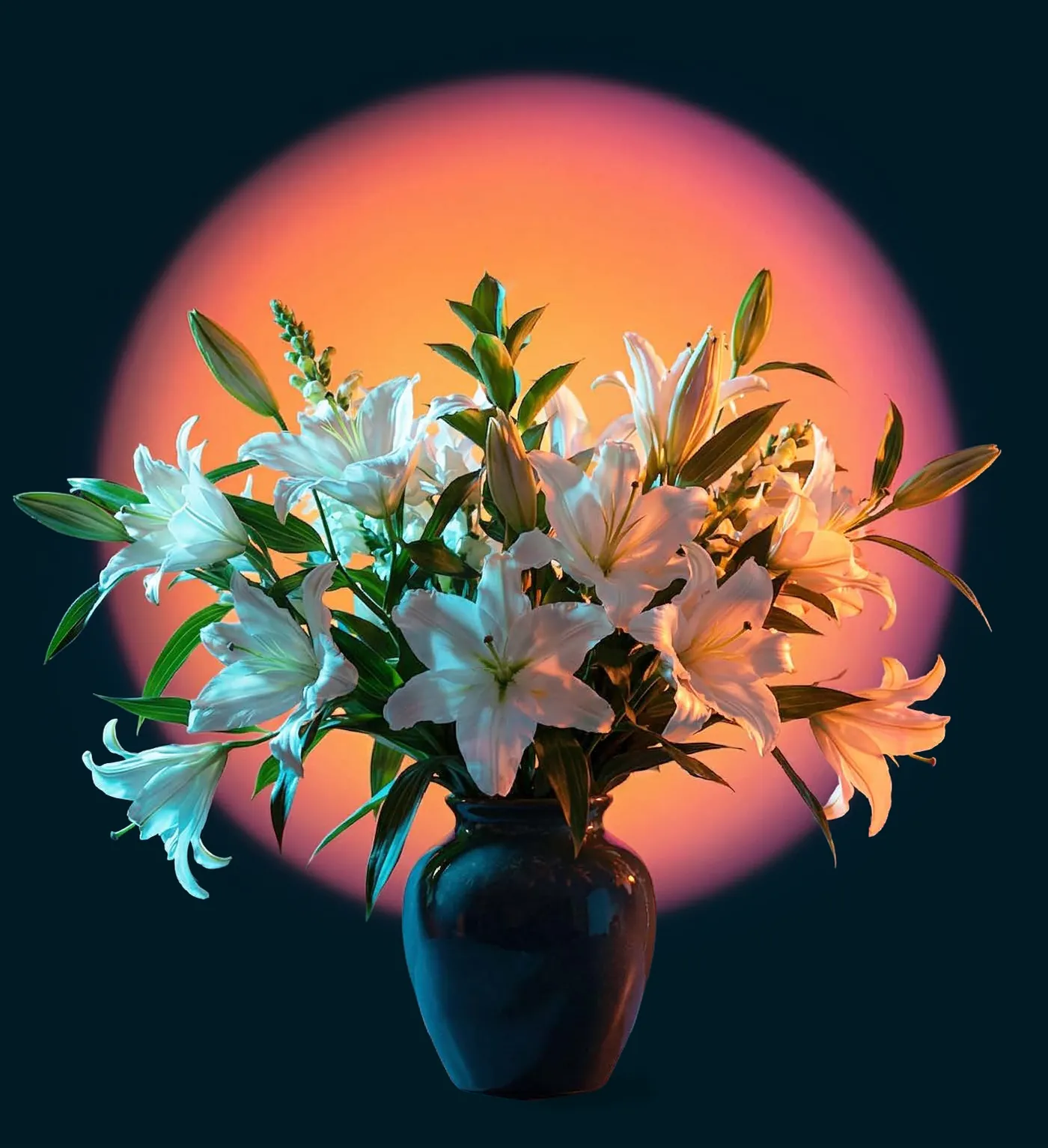 White lilies in a vase glowing against a sunset backdrop