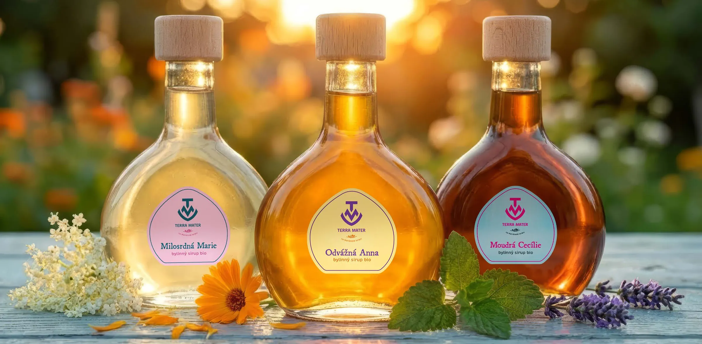 Three Terra Mater herbal syrup bottles glowing in the evening sun